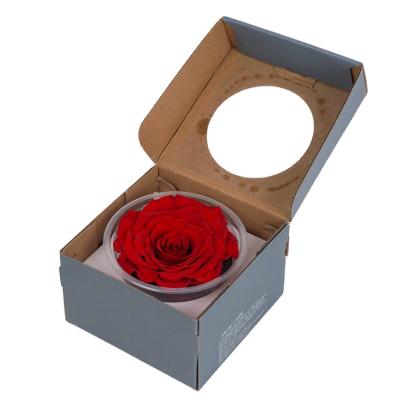 China High Quality Large Size Touch Roses Home Decoration Red Roses Big Real 10cm Preserved Forever Roses For Gifts for sale