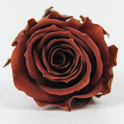 China Rose Valentines Day High Quality Natural Touch Preserved Flower Rose Wedding Decoration Eternal Roses 2 or 3 cm Mini Black Rose for sale