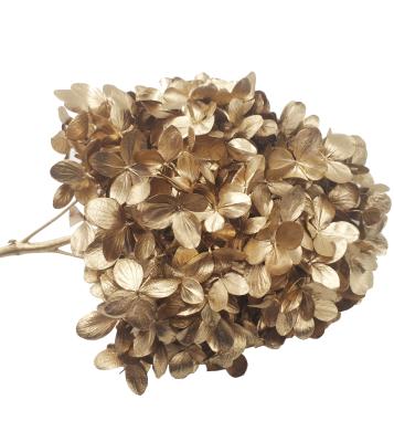 China Natural Dry Wedding Preserved Hydrangea Floral Arrangement Braid Golden Hydrangea Flower for sale