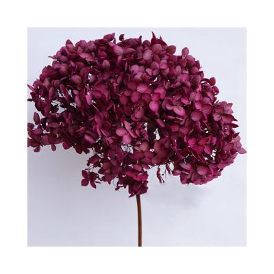 China Festival Dried Flower Arrangements Real Touch Floral Centerpiece Wedding Decorative Garlands Preserved Hydrangea for sale