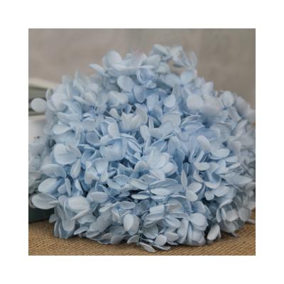 China Decoration Boho Decor Preserved Hydrangea Wreath Wedding Flower Arrangements Dried Wooden Hydrangeas 20 Gram Hydrangea Box for sale