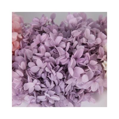 China Decoration Dried Flowers Preserved Hydrangea Wreath Wedding Floral Arrangements Everlasting Wood Hydrangea For Valentines Day for sale