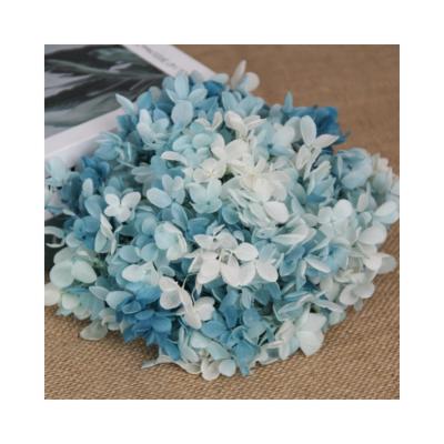 China Eternal Wooden Decoration Hydrangea Garland Dried Flowers Preserved Hydrangea For Wedding Decor for sale