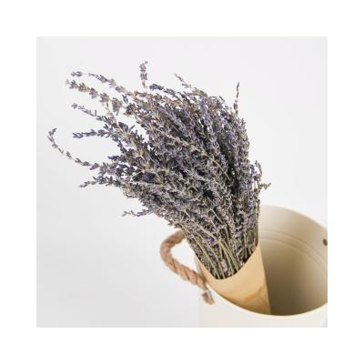 China Wholesale Natural Touch Lavender Dried Flowers Wedding Decor Garland Lavender For Christmas Decor for sale