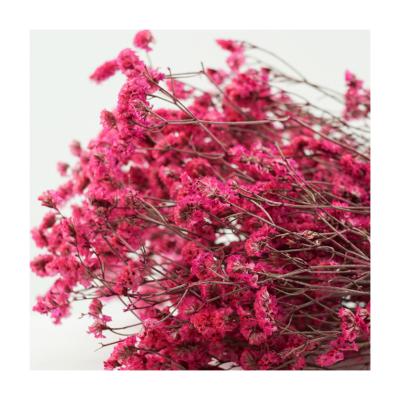 China Decorate 2021 New Home Decoration Dried Flower Bouquet Crystal Grass Dried Crystal Grass For Sale for sale