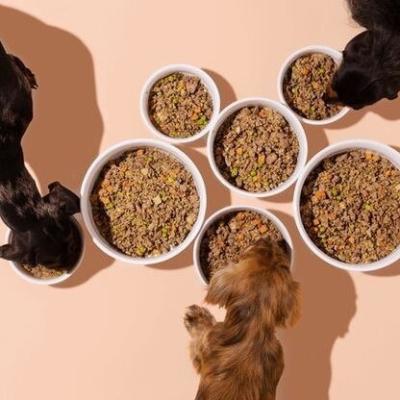 China Skin & Coat Health Pet Food OEM Cat Pet Food Freeze Dried Salmon Organic Treats Snacks for sale