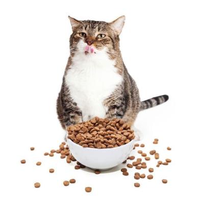 China VITAMINS & MINERAL Pet Products Dry Cat Food Dog Food Pet Food Small Price for sale