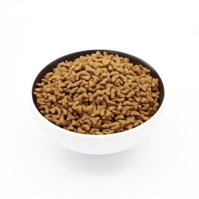 China Skin & Wholesale Royal Coat Health OEM Pet Food Dog Food Order Dry Cat Food for sale