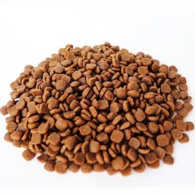 China Skin & Coat Health OEM ODM Can Dogs Eat Cat Food Bulk Cat Dry Food Wholesale for sale