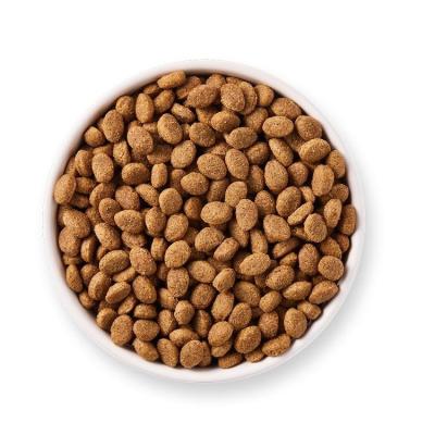 China Skin & Coat Health OEM ODM Pet Food Cat Treats Best Cat Food Wholesale Dry Dry Cat Food for sale