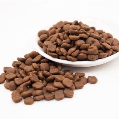 China Skin & Coat Health OEM ODM Cat Treats Cat Food Allergies Wholesale Dry Cat Food for sale