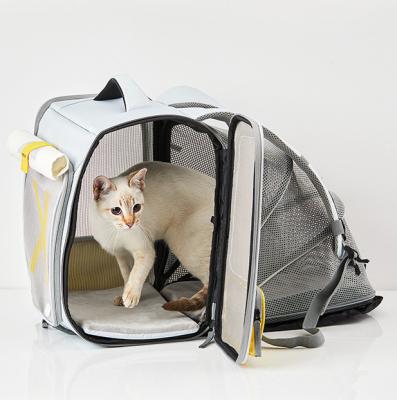 China 2022 New Arrival Stocked Consumable Pet Cages Carriers Backpacks for sale