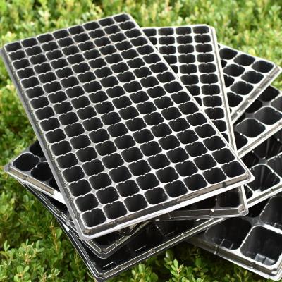 China Seedling 200 Cells Plug Seed Trays For Plant Breeding Nursery Seedling Rice Seedling Trays for sale