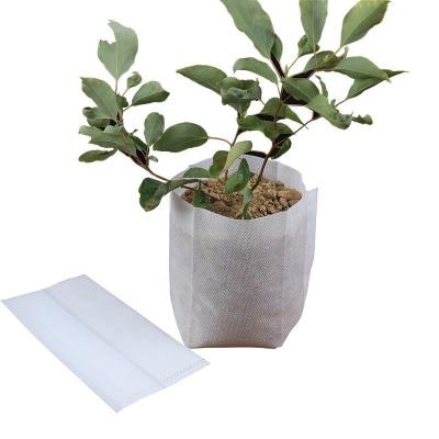 China Plant Eco-friendly Nonwoven Nursery Bags Biodegradable Nonwoven Seeding Pots Bag for sale