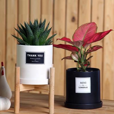 China Eco-friendly Custom Ceramic Flower Stand White Succulent Plant Pots With Split Ceramic Tray for sale