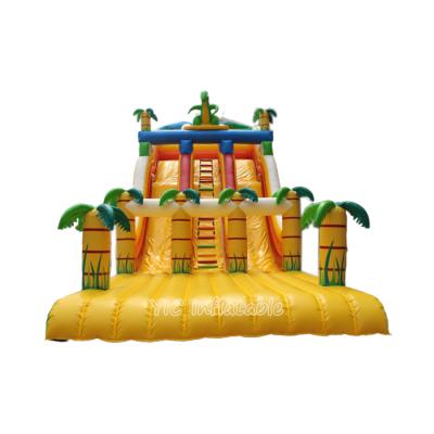 China Fashionable Backyard Inflatable Slides Water Lane Double Inflatable Bouncers Jumping Castles For Inflatable Slide for sale