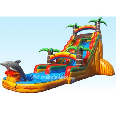 China Fashionable Giant Dolphin Splash Pool Inflatable Tropical Water Slide for sale