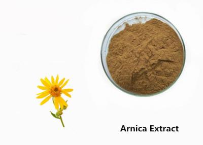 China Arnica Plant Extract Powder for sale