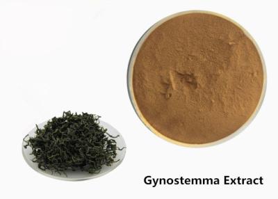 China Food Grade Anti Tumor Herbal Gynostemma Extract Powder for sale