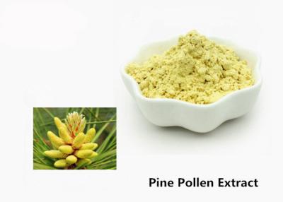 China Health Care 1kg Natural Pine Pollen Extract Powder for sale