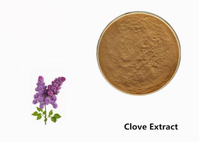 China Brown Clove Flower Plant Extract Powder For Food Additive for sale