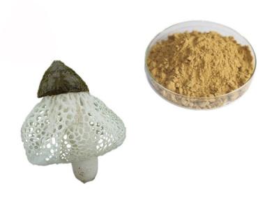 China Organic Dictyophora Indusiata Extract for sale