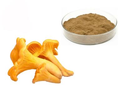 China 30% Polysaccharides Chantarelle Mushroom Extract Powder for sale