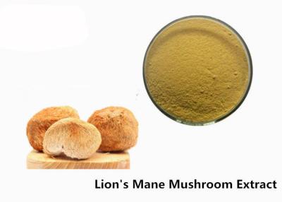 China Anti Viral 50% Beta D Glucan Organic Lion'S Mane Mushroom Powder for sale