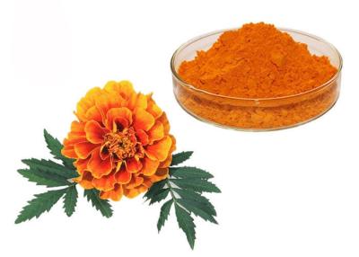 Κίνα Φυσική Xanthophyll χρωστικών ουσιών Marigold σκόνη εκχυλισμάτων λουλουδιών βοτανική προς πώληση