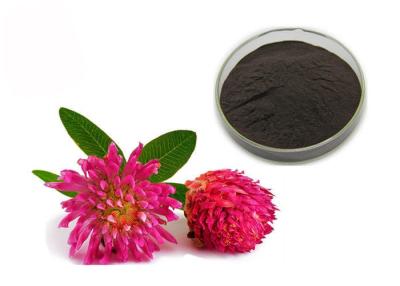 China Purity 2.5% 8% 20% 40% Isoflavones Red Clover Extract Powder for sale