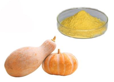 China Food Grade Fruit Concentrate Pumpkin Vegetable Extract Powder for sale