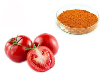 Cina Il licopene 502-65-8 di 6% 10% 20% ha disidratato l'estratto della frutta del pomodoro in vendita