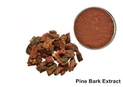 China Anti Aging OPC Pine Bark Extract Powder For Cosmetics for sale