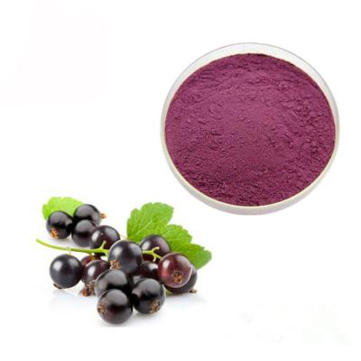 China Concentrated Juice Black Currant 10% Anthocyanin Extract Powder for sale