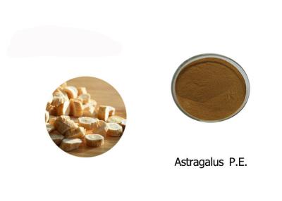 China 100% Astragalus Extract Powder for sale