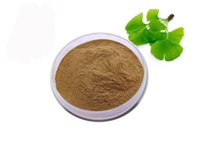 China USP Grade Organic Ginkgo Biloba Powder for sale