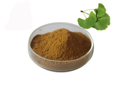 China Owering Blood Pressure Ginkgo Biloba Bulk Powder for sale