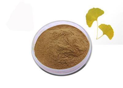 China 24% Flavones 6% Lactones Pure Natural Ginkgo Biloba Extract Powder for sale