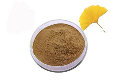 China Pharmazeutisches Grad Ginkgo Biloba-Auszug-Pulver für Gesundheitswesen zu verkaufen