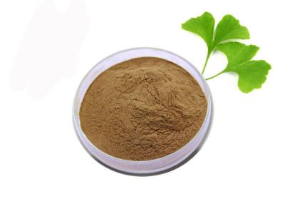 China Medical Grade Anti Oxidant Pure Ginkgo Biloba Extract Powder for sale