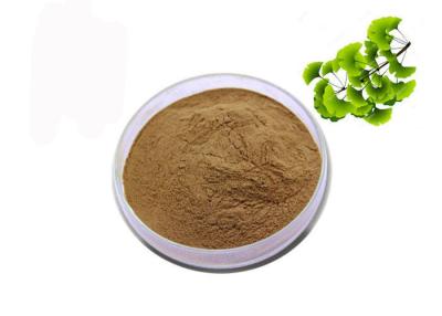 China CAS 90045-36-6 Organic Dry Leaves Ginkgo Biloba Extract Powder for sale