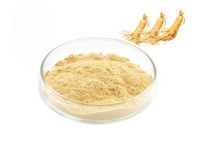 Chine Poudre naturelle d'extrait de ginseng à vendre