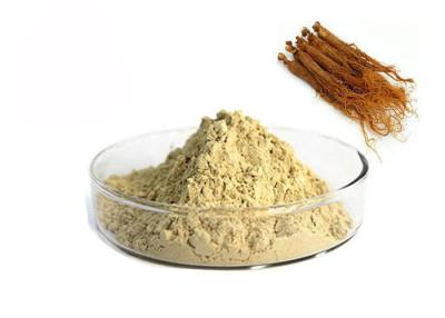 China 10% Ginsenosides Red Ginseng Extract for sale