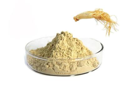 Κίνα Καθαρή βοτανική Ginseng σκόνη ρίζας CAS 90045-38-8 80% Ginsenosides προς πώληση