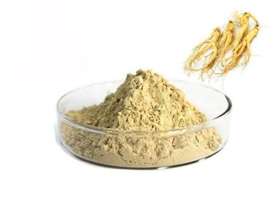 Chine Poudre naturelle d'extrait de ginseng de racine pharmaceutique de 80% Panax à vendre