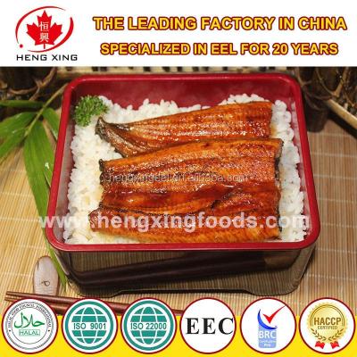 China Cooked Frozen Roast Eel - Unagi Kabayaki for sale