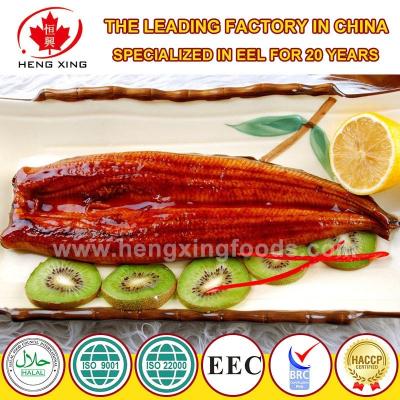 China Cooked Frozen Roast Eel - Unagi Kabayaki (HACCP, BRC, ISO, EU Approval) for sale