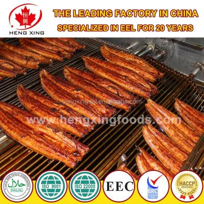 China Cooked Frozen Grilled Eel - Unagi Kabayaki (Unagi Eel) for sale