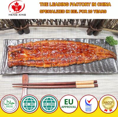 China Cooked Frozen Roast Eel - Freshwater River Eel Unagi (Vacuum Pack) for sale