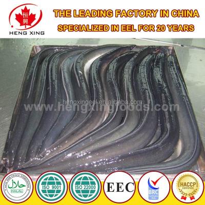 China Frozen Eel FROZEN - Anguilla Rostrata from China for sale